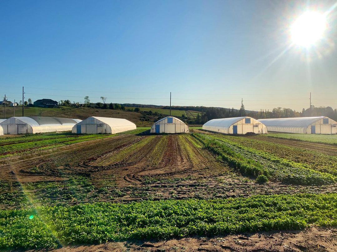 Hoop House frame with farmers in front