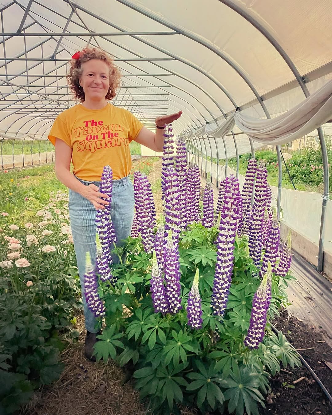 Hoop House Grown Flowers